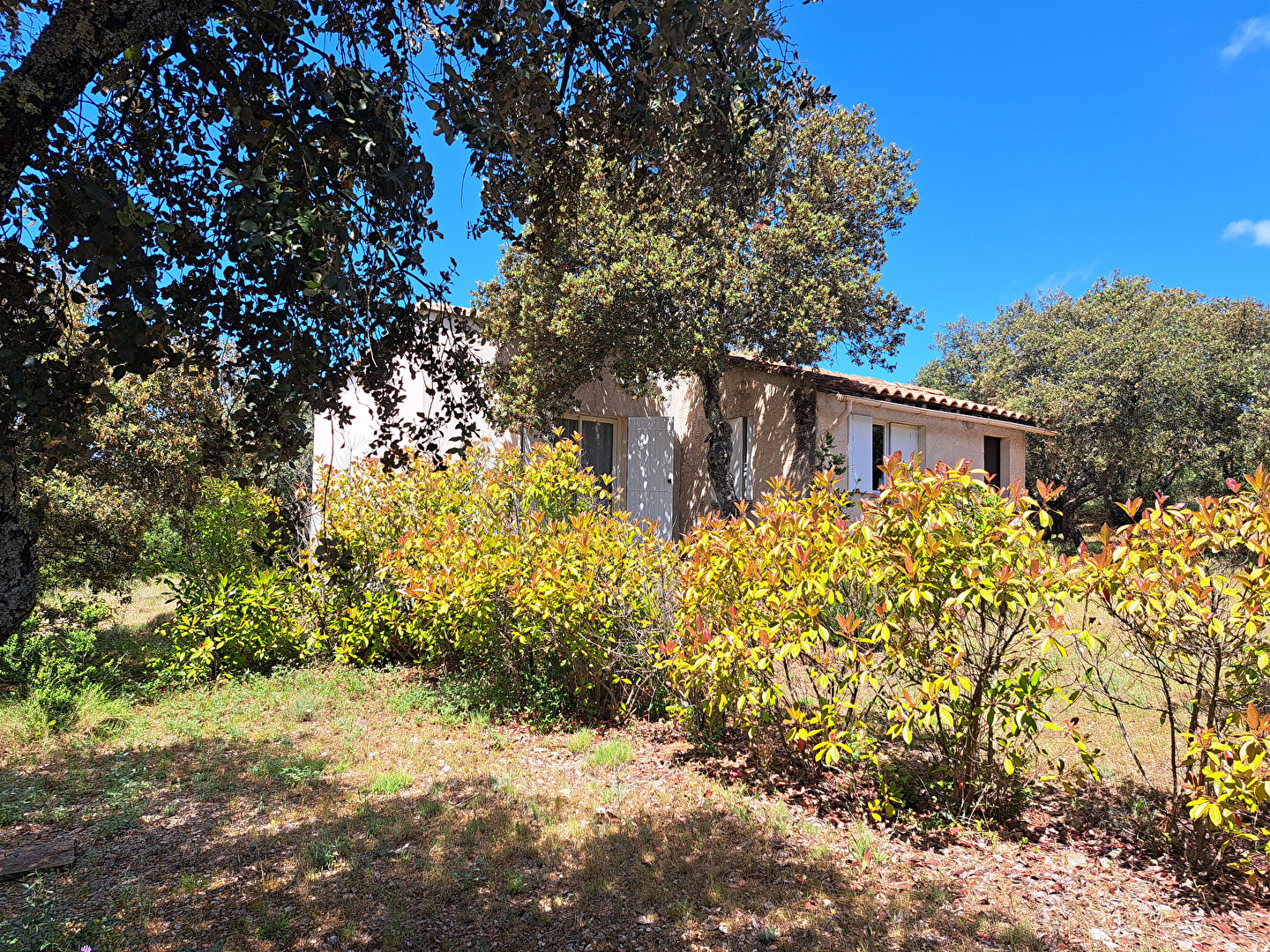 Photo 18 — VENTOUX IMMOBILIER