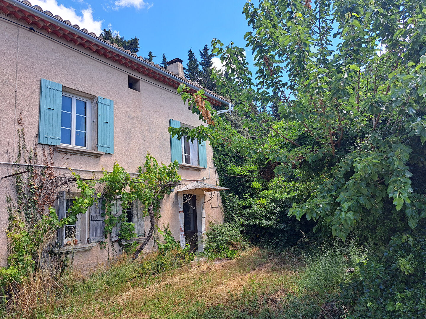 Photo 4 — VENTOUX IMMOBILIER