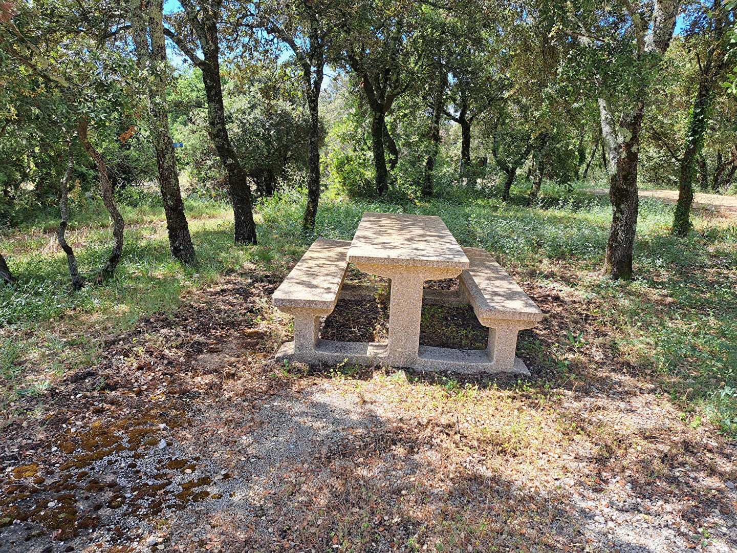 Photo 6 — VENTOUX IMMOBILIER