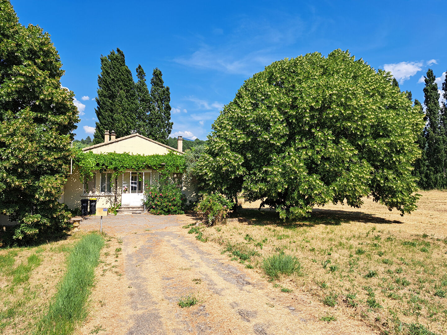 Photo 17 — VENTOUX IMMOBILIER