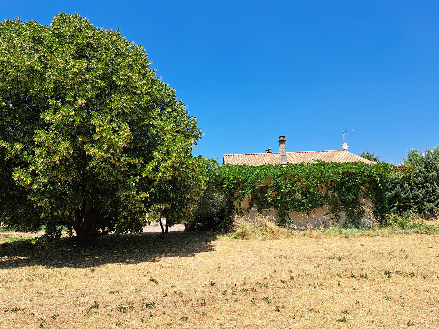 Photo 12 — VENTOUX IMMOBILIER