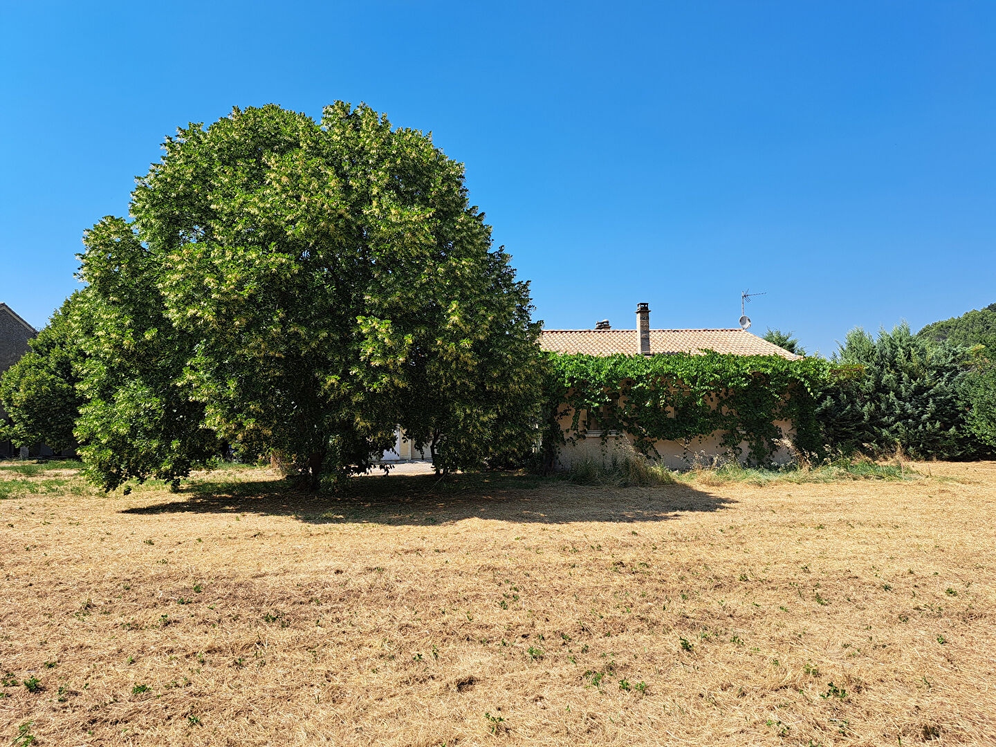 Photo 16 — VENTOUX IMMOBILIER