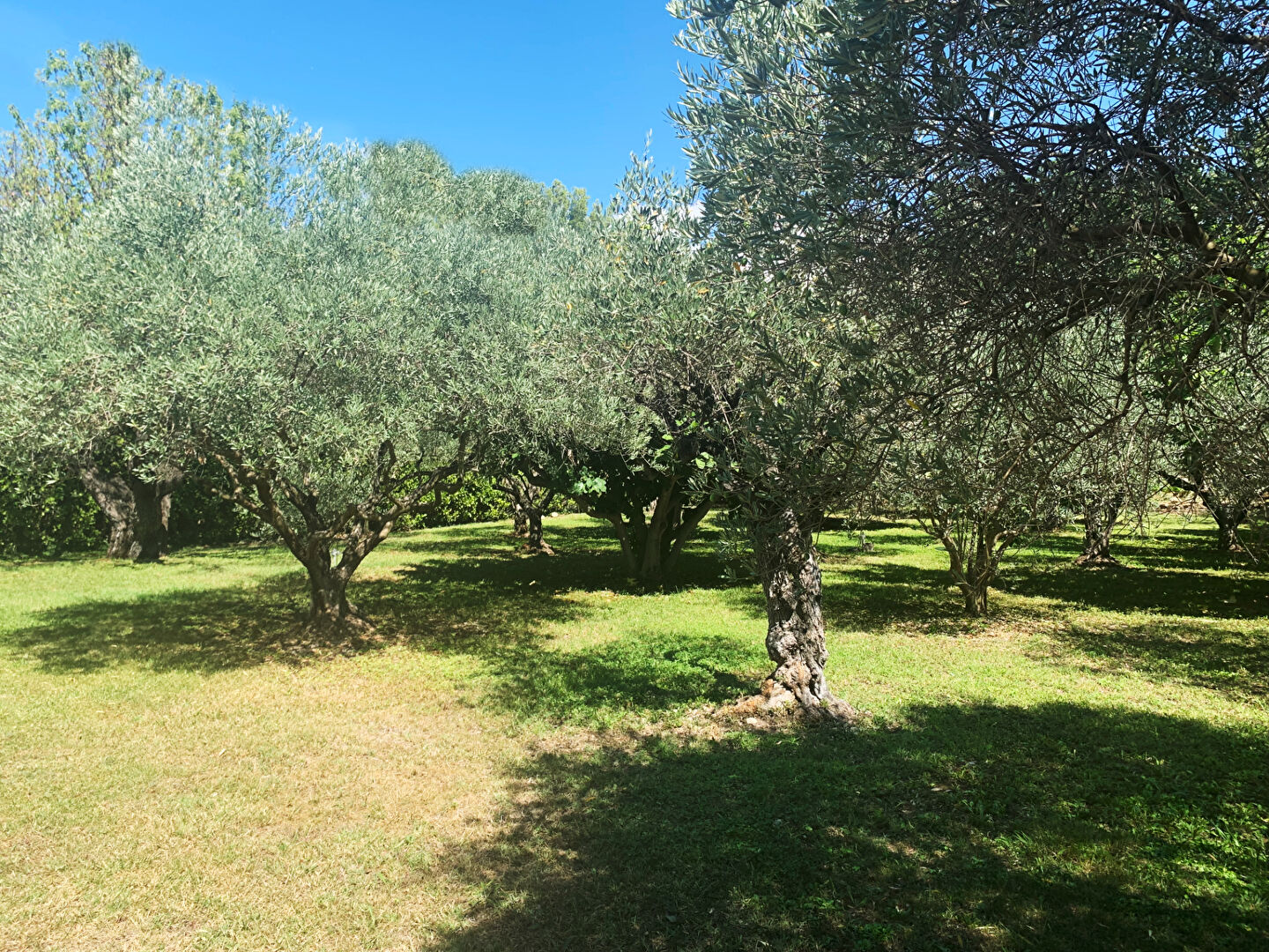 Photo 7 — VENTOUX IMMOBILIER