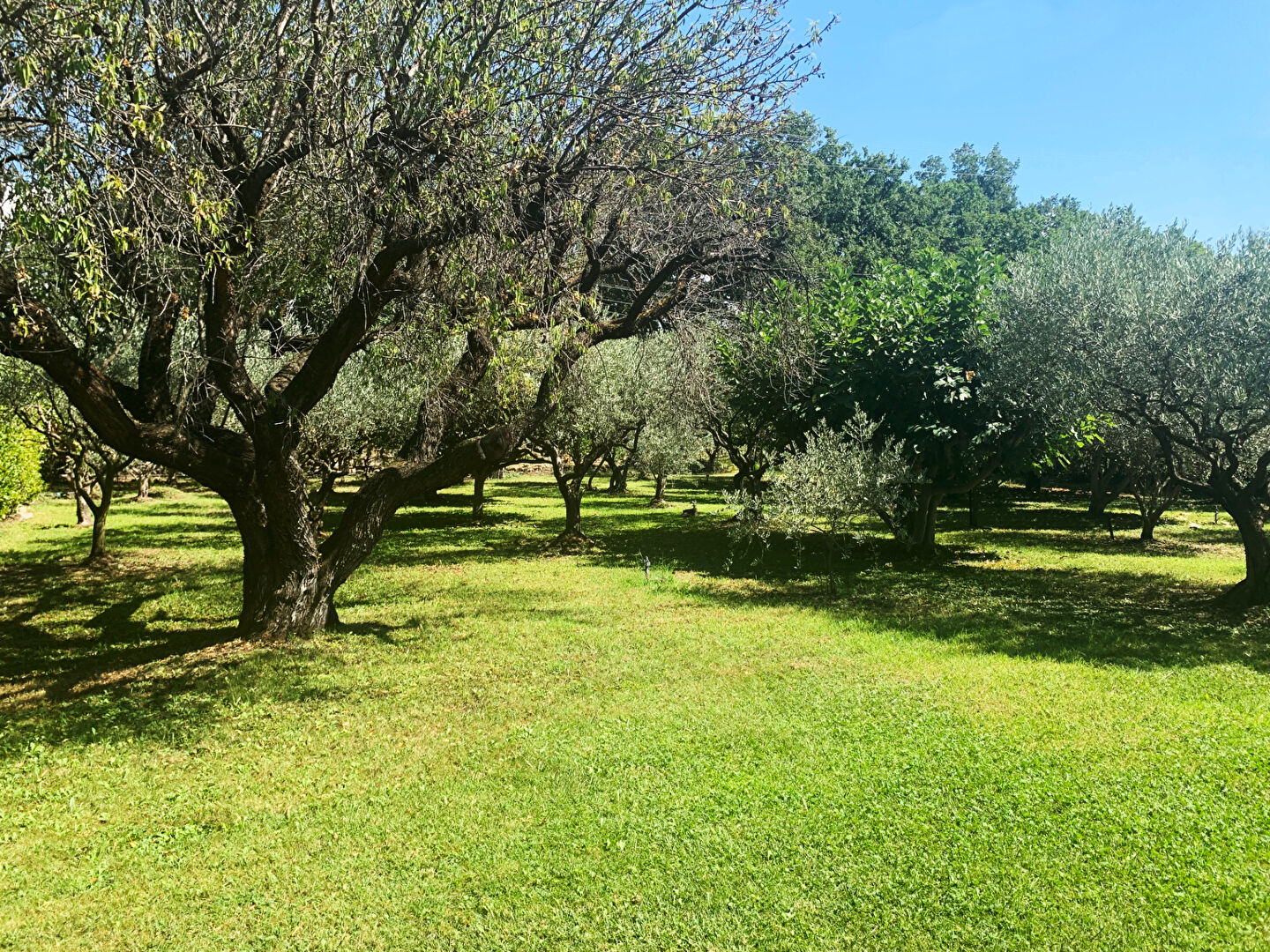 Photo 8 — VENTOUX IMMOBILIER