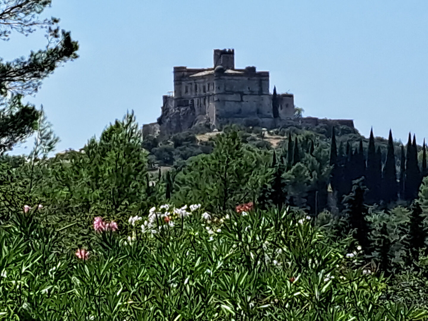 Photo 6 — VENTOUX IMMOBILIER