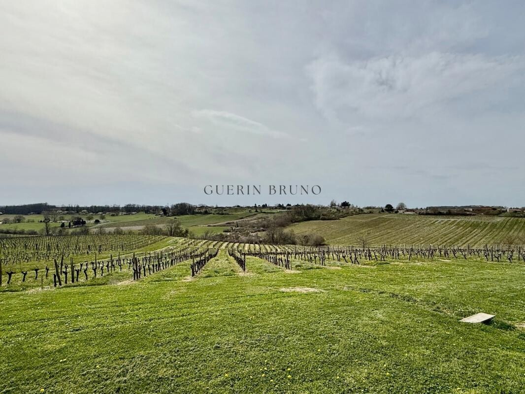 Photo 13 — BRUNO GUERIN