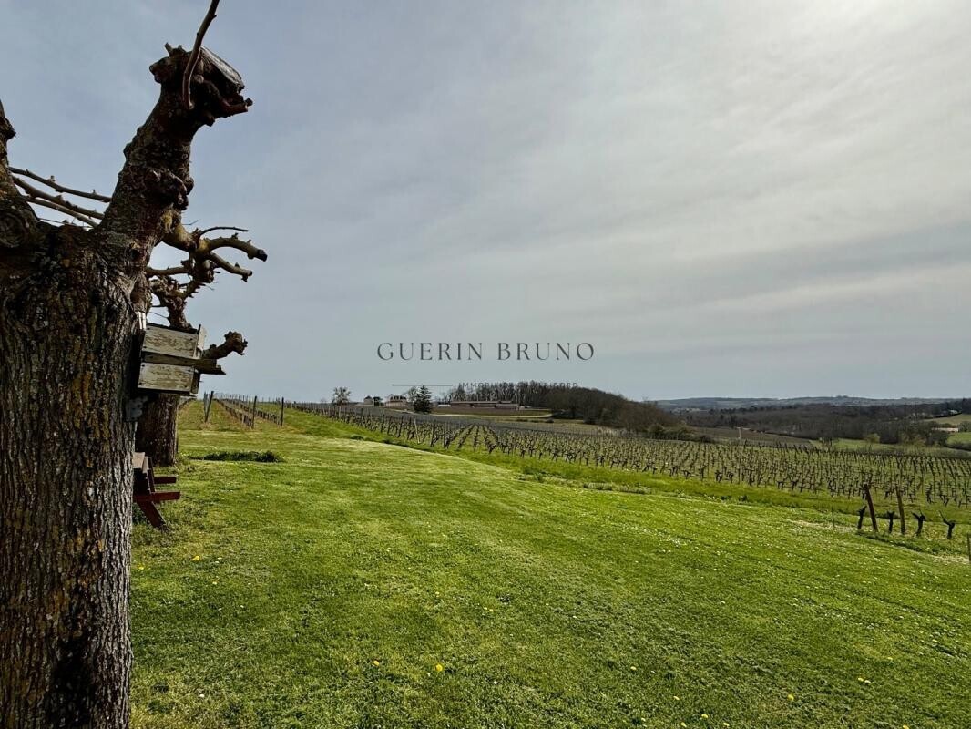 Photo 14 — BRUNO GUERIN
