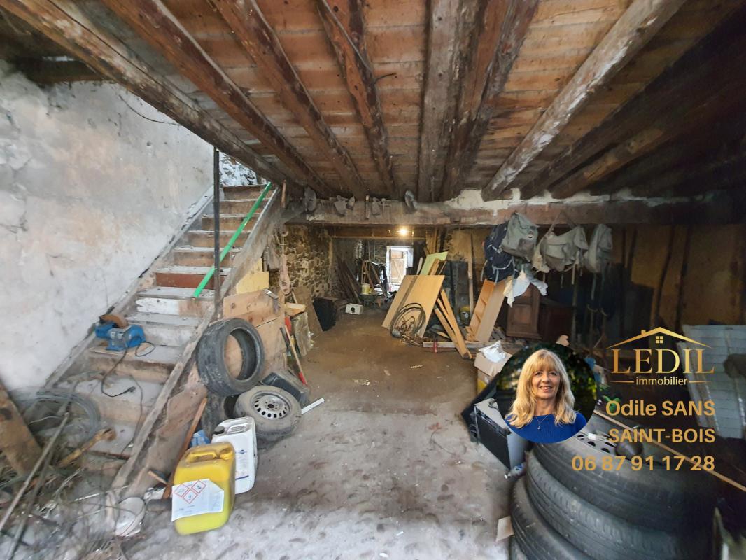 Photo 4 — Odile SANS - SAINT-BOIS