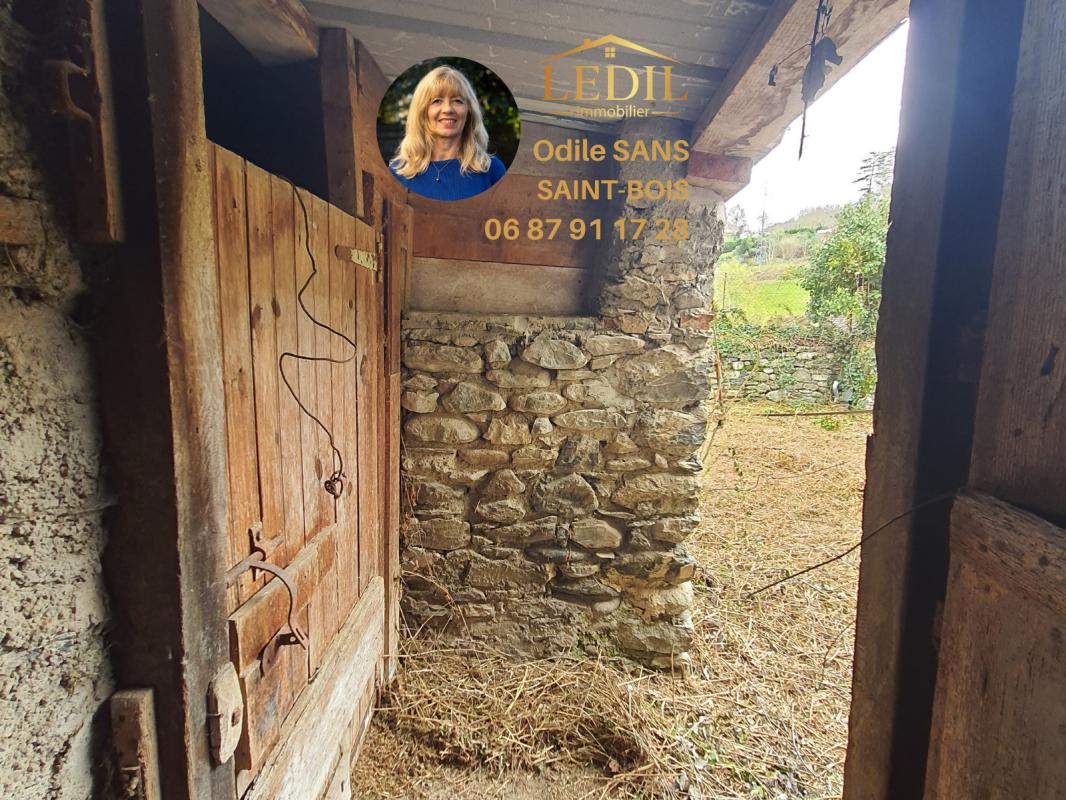 Photo 3 — Odile SANS - SAINT-BOIS