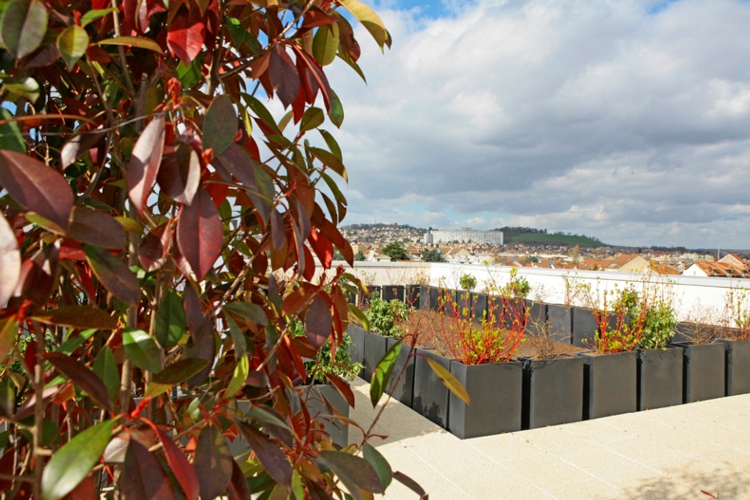 Photo 2 — IMMO DE FRANCE AQUITAINE