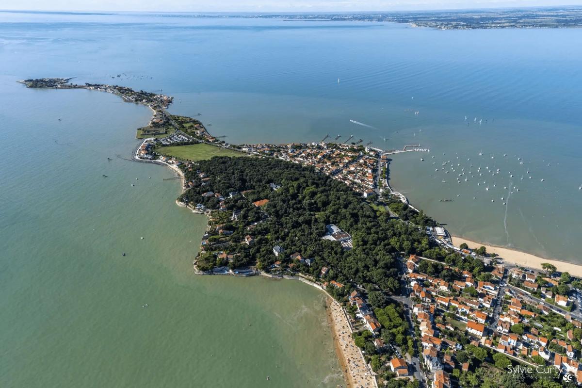 Photo 6 — IMMO DE FRANCE AQUITAINE