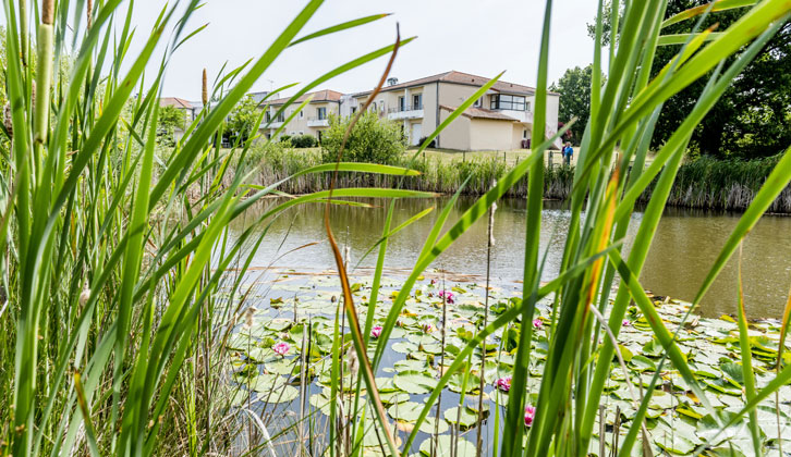 Photo 5 — IMMO DE FRANCE AQUITAINE